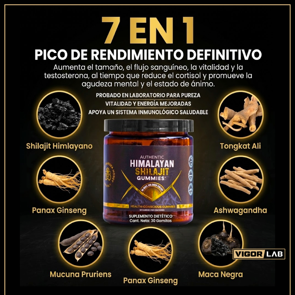 Authentic Himalayan Shilajit Gummies – Vigor Lab