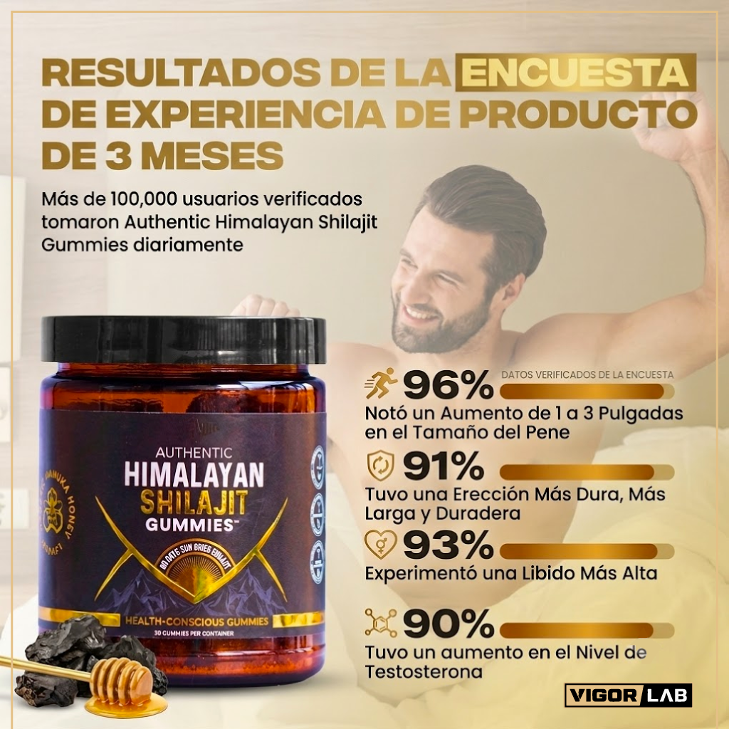 Authentic Himalayan Shilajit Gummies – Vigor Lab